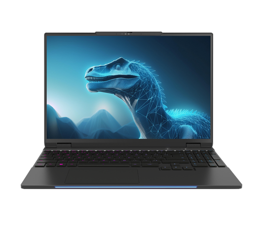 INFINITY A5 4060P (WQXGA) GAMING NOTEBOOK